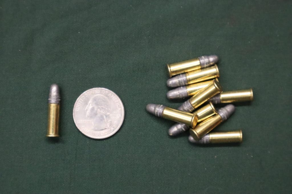 .22 cal ammunition